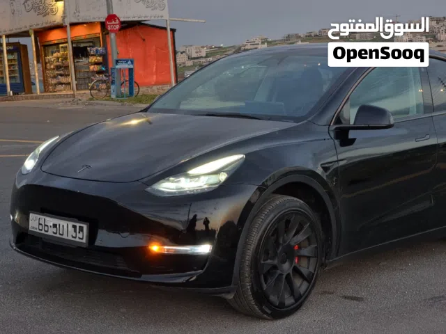 2021, Tesla, Model Y, Standard Range