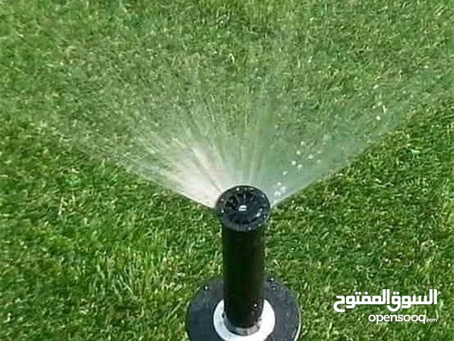 نجيل طبيعي نجيل ديكوندرا وأشجار مثمر وزينه