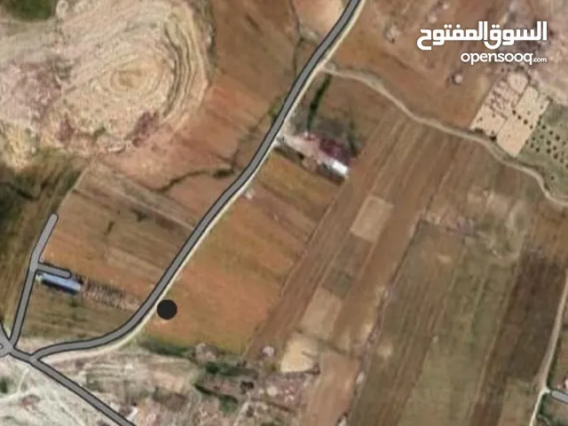 Farm Land for Sale in Al Karak Al-Adnanya