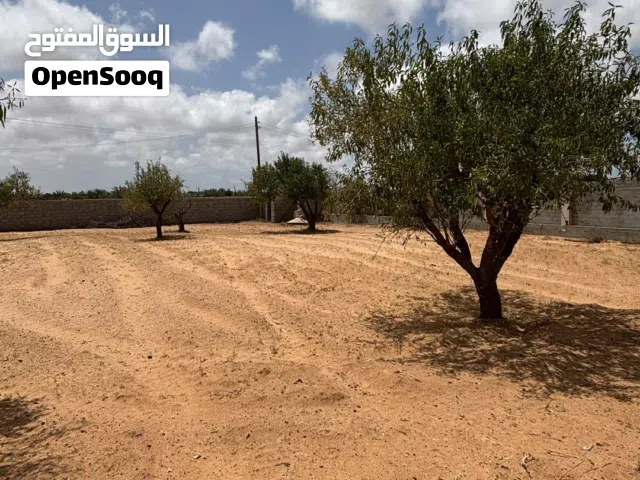 أرض للبيع في الباعيش
