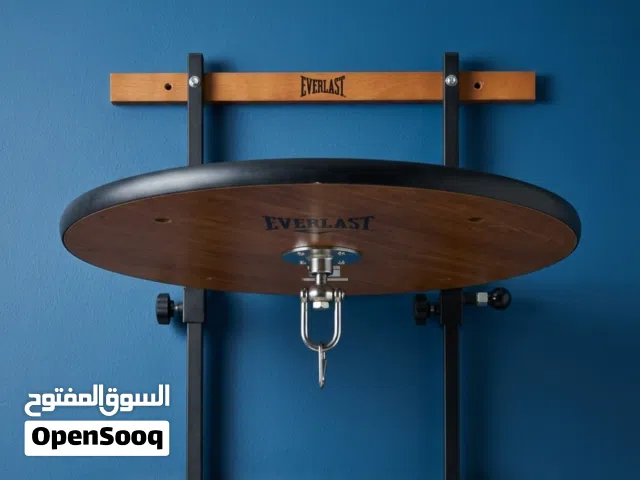 speed bag EVERLAST