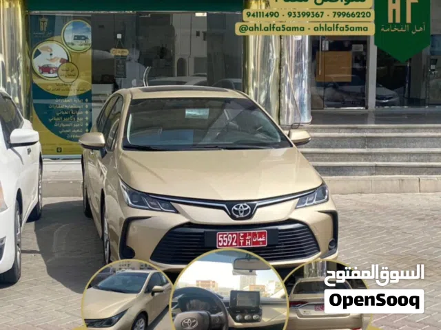 كورولا بيجي للايجار