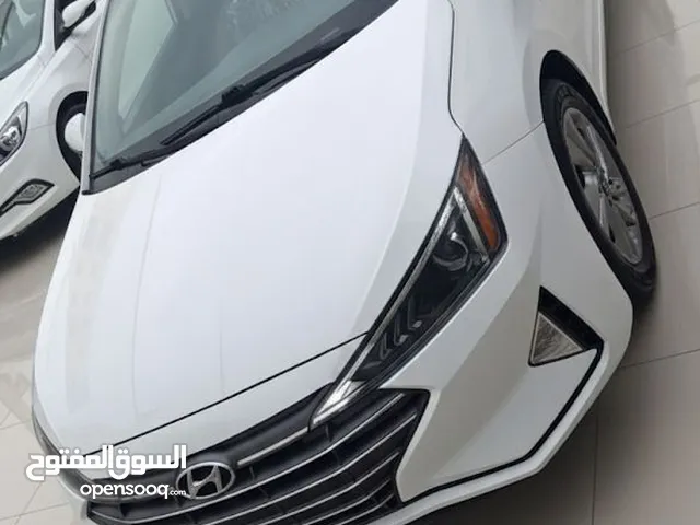 Used Hyundai Elantra in Ajman