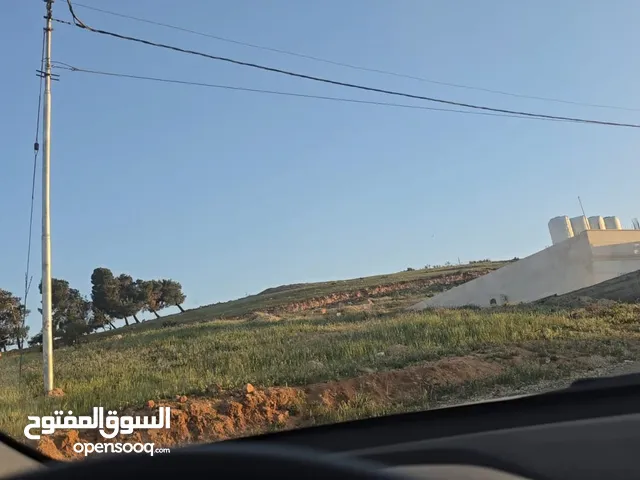 Residential Land for Sale in Amman Marj Al-Furs