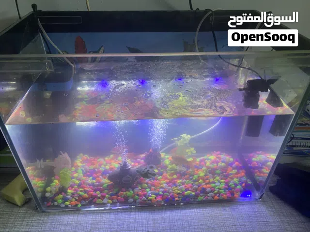 حوض سمك كبير اقرأ الوصف بسعر حرق