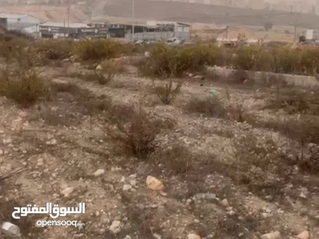 قطعه ارض للبيع في منطقه  دير ابزيع  مساحه 14دونم طابو سلطه