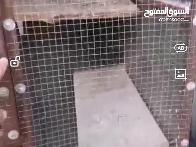 مطير حديد للبيع