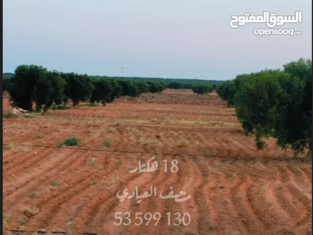 Farm Land for Sale in Sfax Other