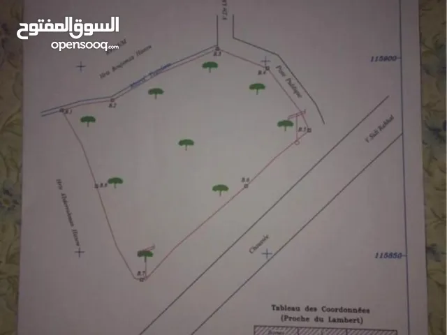 route sidi rahal