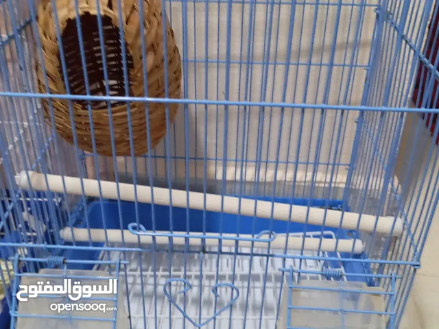 قفص عصافير أزرق مع بياضة مصنوعة من الخوص
