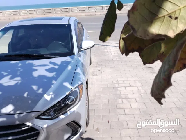 Used Hyundai Elantra in Muscat