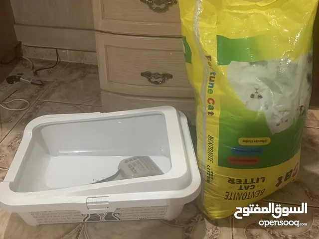 Almost new Big Litter pot with 18 kg litter