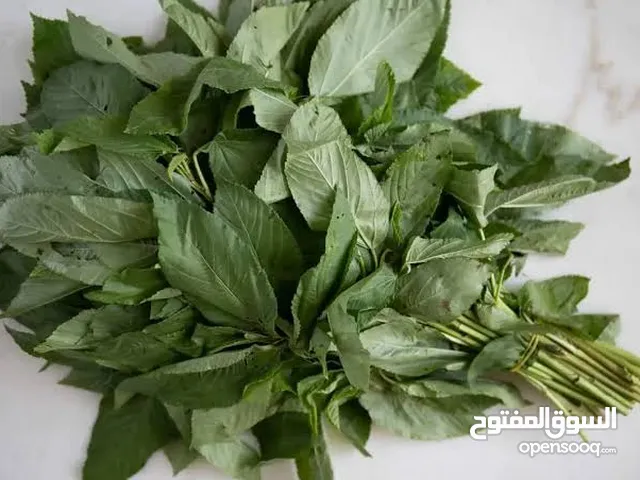 ملوووخيه جاهزه مغسله ومنقبه فرم ناعم