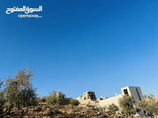 قطع مميزه جدا  قطع أراضي للبيع في ام رمانه يبعد عن شارع الأردن دقيقه
