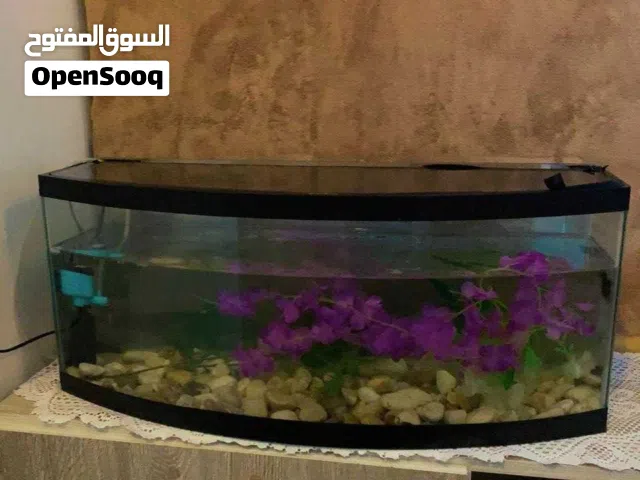حوض سمك كامل مع اغراض
