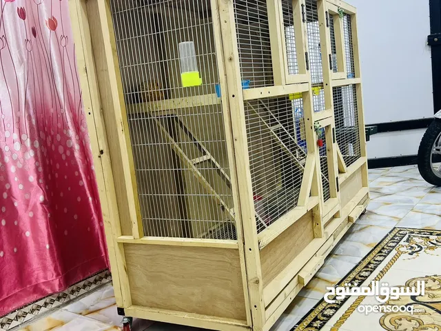 قفص طيور للبيع نجاره درجه اولى