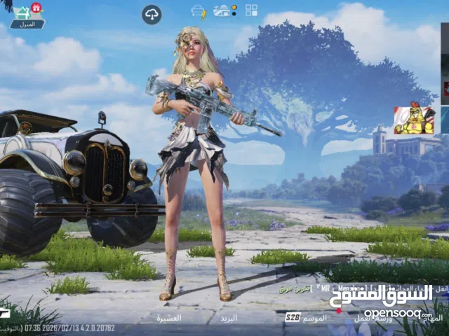 Pubg Accounts and Characters for Sale in Hawally