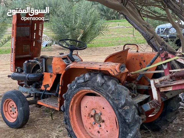 هياسه شغاله