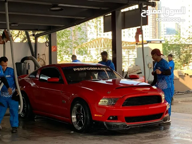 Ford Mustang 2014 5.0 GCC 190000KM ( 500 HP) Borla Full Exhaust System