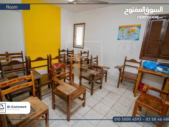شقه للايجار