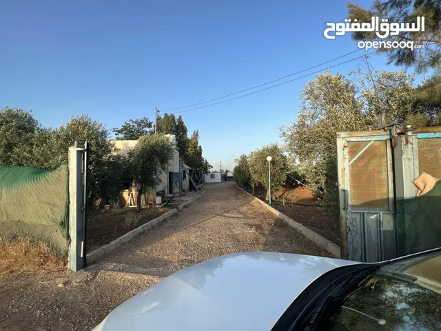 Farm Land for Sale in Amman Al-Khadra'