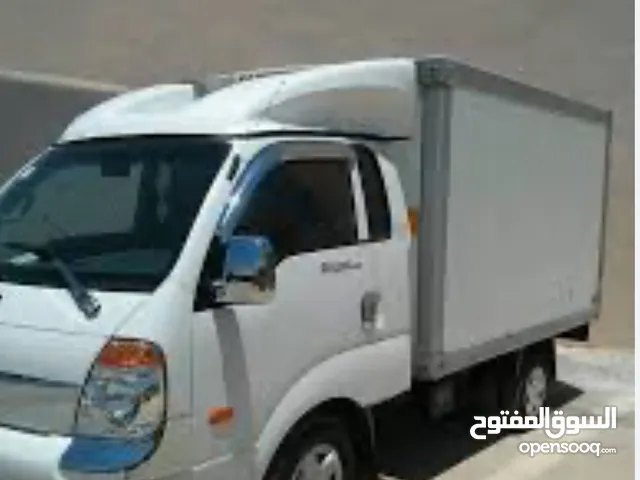 بينجو تبريد 2013 لون ابيض