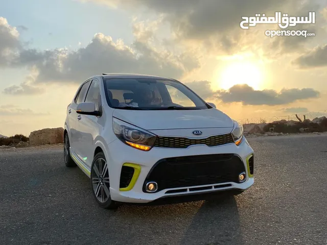 مطلوب مورننج اكسنت بولو ليون اليوم بنخلص