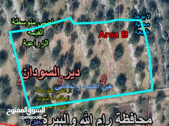 ارض زراعيه للبيع