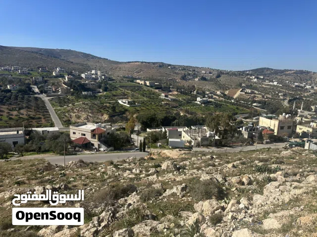 Residential Land for Sale in Zarqa Birayn