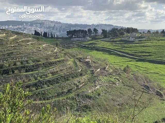 Mixed Use Land for Sale in Nablus Asira Ash-Shamaliya