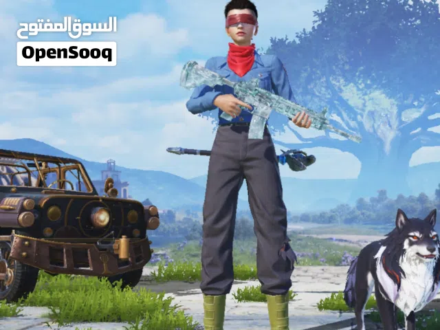 Pubg Accounts and Characters for Sale in Hadhramaut