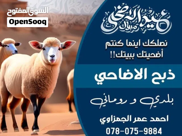 ذبح اظاحي بعشر دنانير للبيوت