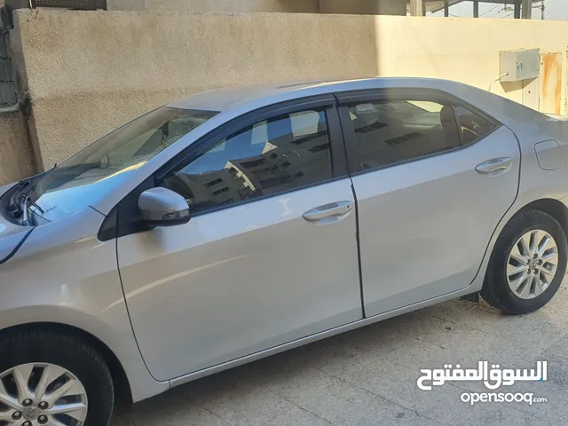 Used Toyota Corolla in Amman