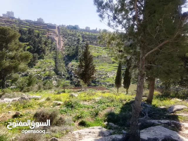 ارض للبيع منطقه أ سكنيه بسعر مغري