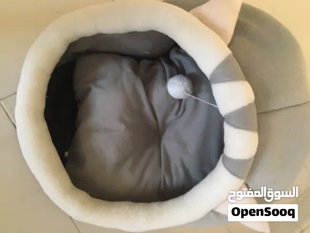 يتوفر منزل قطط ثلاث منزل عق سعرك وشيل