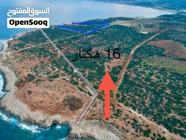 Mixed Use Land for Sale in Al Qubah Other