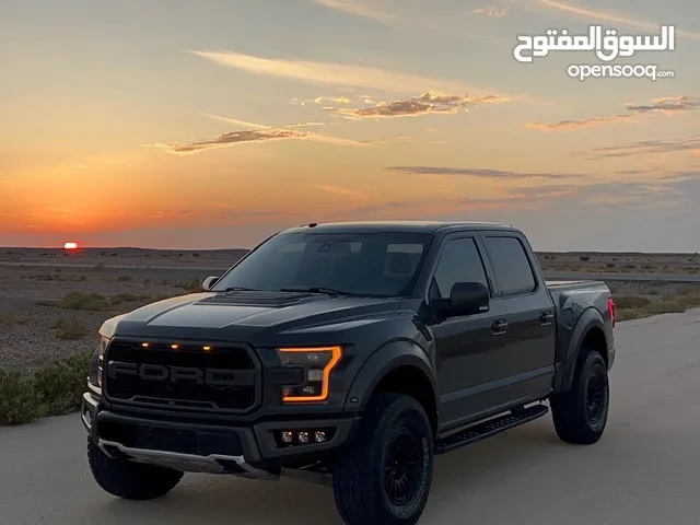 رابتر فورد بيكب 2018
