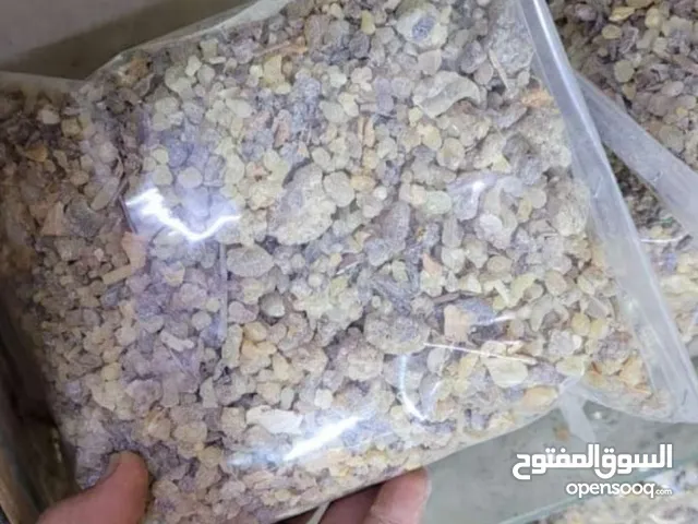 متوفر عندي جميع أنواع لبان و بأسعار مناسبه جدا جدا و أقل من سعر السوق و يوجد توصيل لجميع ولايات