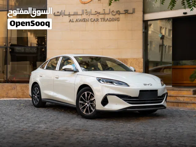 2025, بي واي دي, سيل