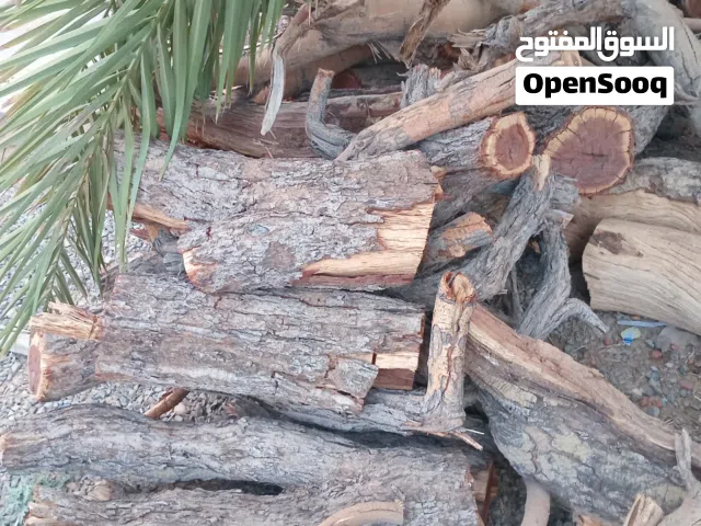 اللبيع حطب سمر
