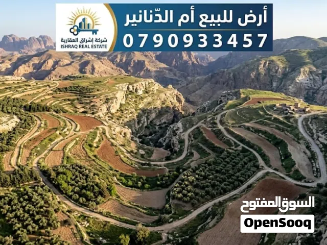 Residential Land for Sale in Amman Umm A-Dananir