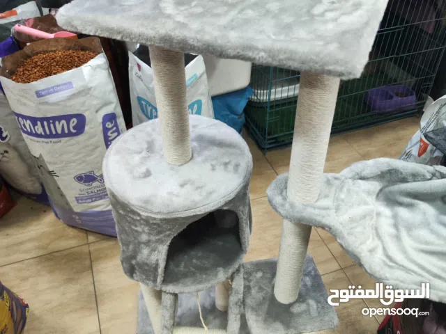 غداشه قطط عده طوابق وبيت داخلي وبيت خارجي احمي اثاثك الآن من تخديش القطك