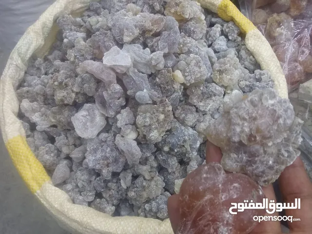 متوفر جميع انواع اللبان الحوجري العماني مال العلاج والدخون جبال حاسك اسعار طيبه واسعار خاصه للتجار
