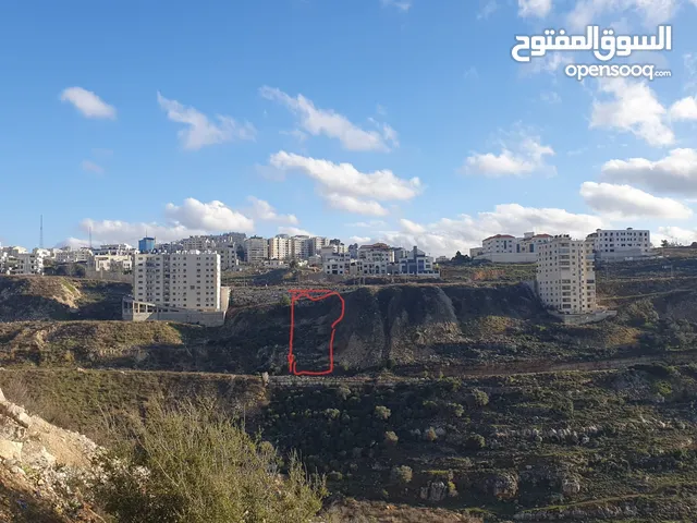 Residential Land for Sale in Ramallah and Al-Bireh Al Irsal St.