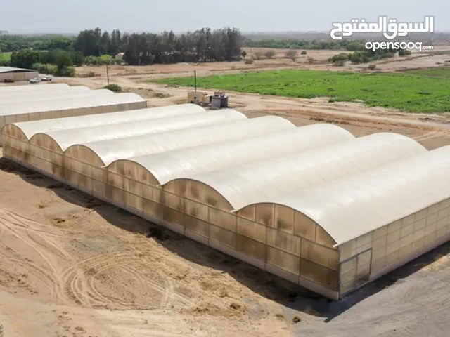 مطلوب شريك أو ممول