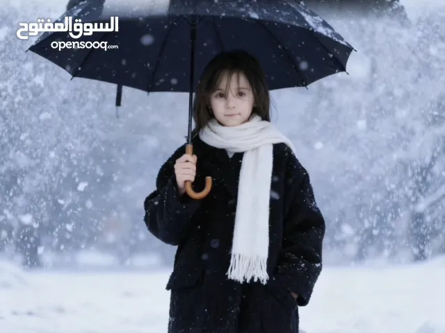 Used Skoda Octavia in Hebron