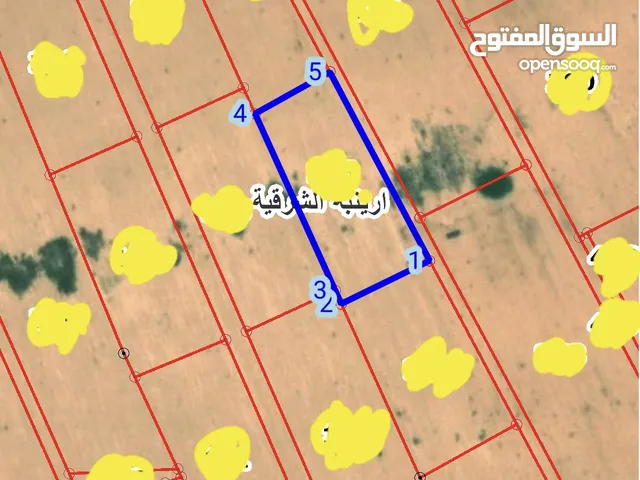 Farm Land for Sale in Amman Areinba Al Sharqiyah