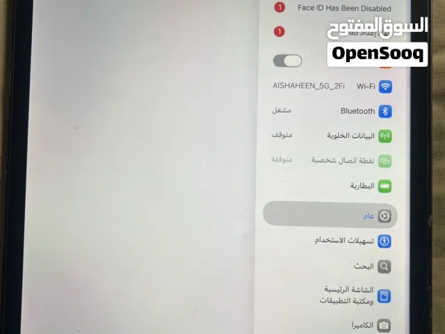 Apple iPad Pro 11 256 GB in Muscat