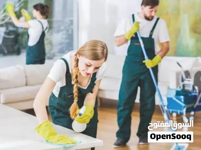 خدمات تنظيف فلل ومنازل ومكاتب وقصور وطارد الطيور ومكافحة الحشرات