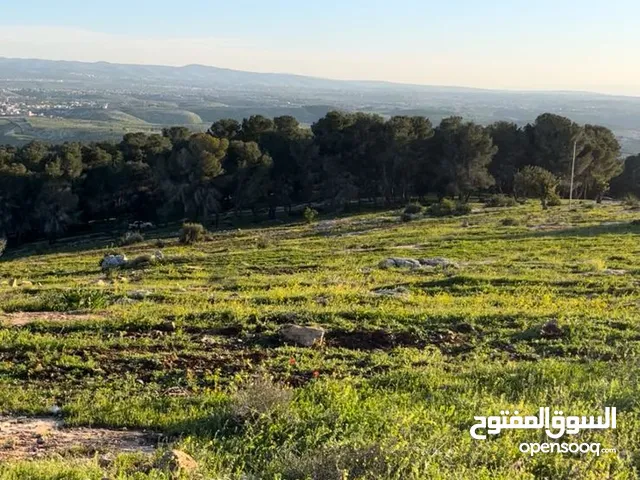 للبيع بسعر مغري قطعة أرض ومنزل في اربد مساحة القطعه 4609